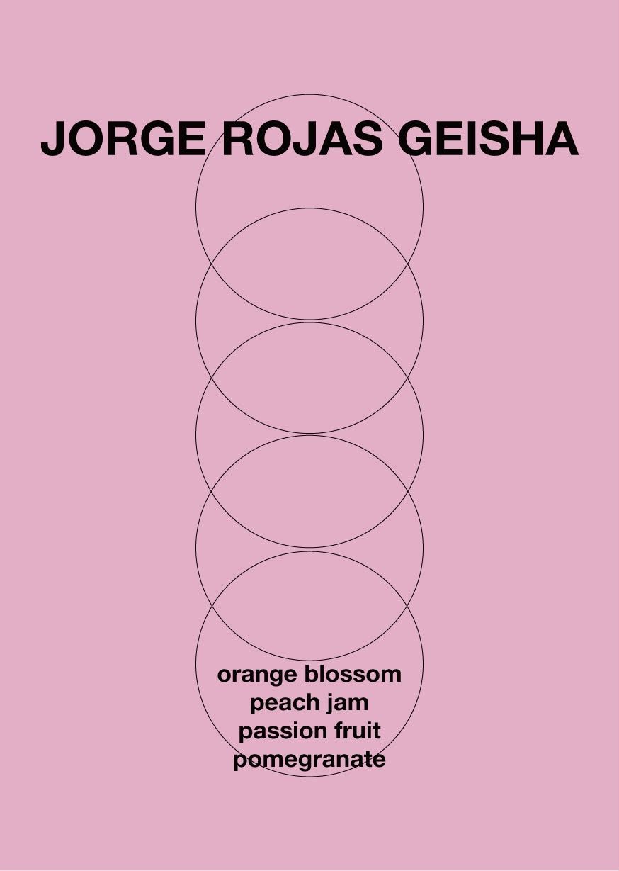 Jorge Rojas Geisha