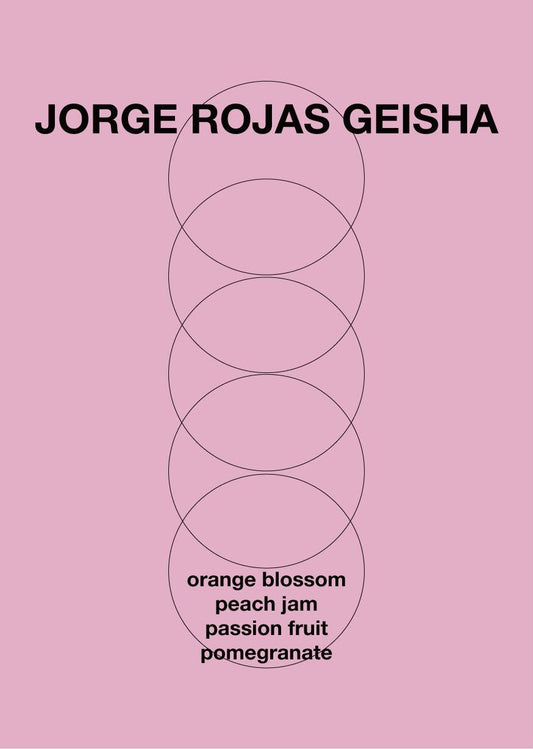 Jorge Rojas Geisha