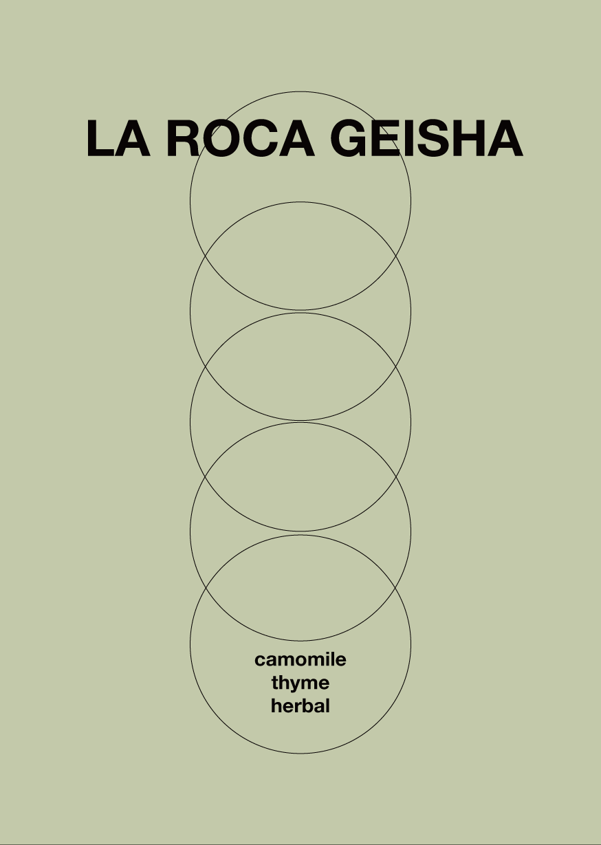LA ROCA GEISHA