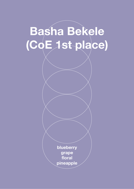 Basha Bekele
