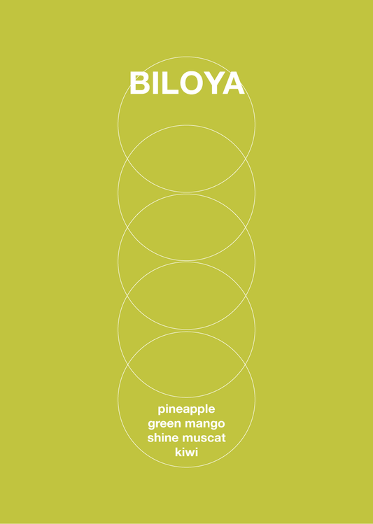 BILOYA
